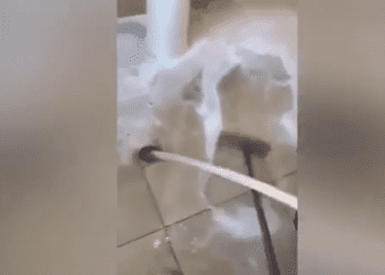 ჩხოროწყუში მე-7 კლასის მოსწავლეებს მერიის საპირფარეშოები დაასუფთავებინეს – ფაქტზე გამოძიება დაიწყო