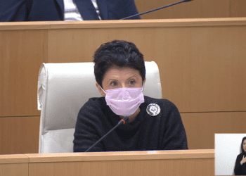 „ხალხმა იცოდეს“ – ვისი ნომერი გამოაცხადა წულუკიანმა პარლამენტში