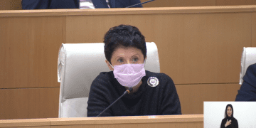 „ხალხმა იცოდეს“ – ვისი ნომერი გამოაცხადა წულუკიანმა პარლამენტში