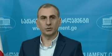 “თვითონ ხომ არის ლომი და ვეფხვი? დაწეროს, ლომებრ პუნქტები” – ალეკო ელისაშვილის გიორგი ვაშაძის განცხადებას ეხმაურება