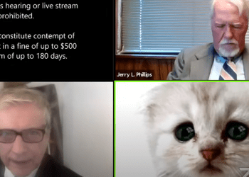 “მე კატა არ ვარ” – კონფერენეციაზე ადვოკატს კატის ფილტრი ჩაერთო