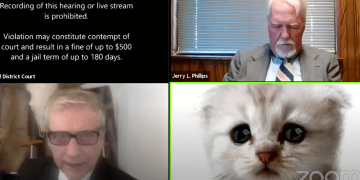 “მე კატა არ ვარ” – კონფერენეციაზე ადვოკატს კატის ფილტრი ჩაერთო