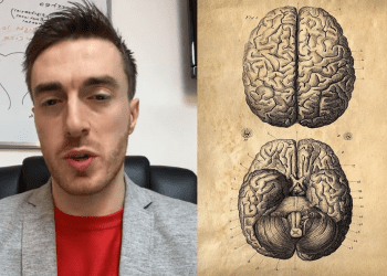 მეხსიერების პრობლემები თუ გაქვთ, აი, რა უნდა იცოდეთ – რას ამბობს ექიმი გიორგი ღოღობერიძე