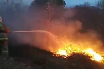 სოხუმში ბაგრატის მთაზე ხანძარია