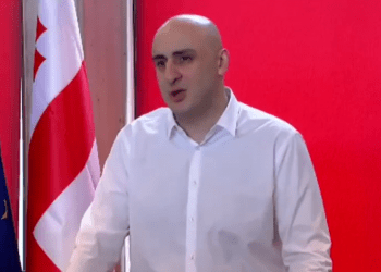 ნიკა მელიას პირველი განცხადება გახარიას გადადგომის შემდეგ