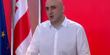 ნიკა მელიას პირველი განცხადება გახარიას გადადგომის შემდეგ