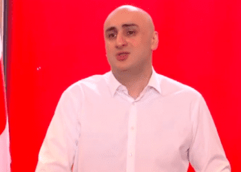 ნიკა მელიას სიტყვით გამოსვლას ოვაციებით შეხვდნენ