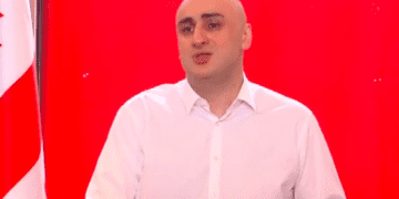 ნიკა მელიას სიტყვით გამოსვლას ოვაციებით შეხვდნენ