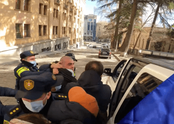 პარლამენტთან აქტივისტი ნოდარ რუხაძე დააკავეს