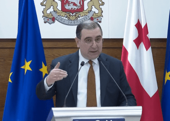 ცნობილია, როდის აღადგენენ საქმიანობას კერძო/საჯარო ბაღები