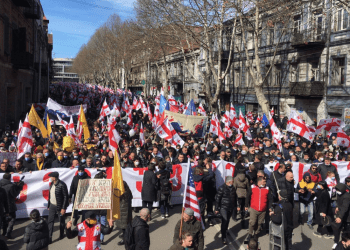 ოპოზიცია 2 მარტს პარლამენტის, 5 მარტს კი კანცელარიის პიკეტირებას გეგმავს – ოპოზიციის გეგმა დეტალურად