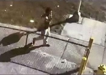 ფლორიდაში გაიტაცეს მანქანა, რომელშიც კორონავირუსის ვაქცინები იდო