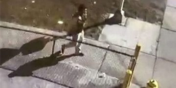 ფლორიდაში გაიტაცეს მანქანა, რომელშიც კორონავირუსის ვაქცინები იდო