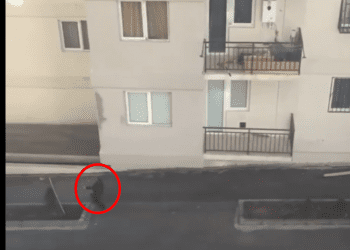 „ბავშვები გარეთ არ გაუშვათ“ – დიდ დიღომში ქარმა ბავშვი წააქცია