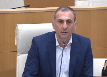 ალეკო ელისაშვილის პირველი გამოსვლა პარლამენტში