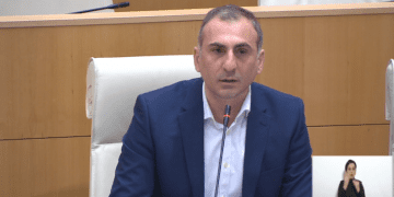 ალეკო ელისაშვილის პირველი გამოსვლა პარლამენტში