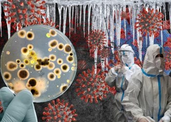 მყინვარების სწრაფმა დნობამ, შესაძლოა პრეისტორიული ვირუსები გააცოცხლოს ?! – სიმართლე/ტყუილი – მიმოხილვა