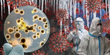 მყინვარების სწრაფმა დნობამ, შესაძლოა პრეისტორიული ვირუსები გააცოცხლოს ?! – სიმართლე/ტყუილი – მიმოხილვა