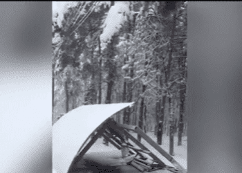 წყნეთის გზაზე ავტობუსის მოსაცდელი გადმოყირავდა და ბავშვს დაეცა