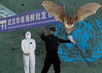 როგორ მოხდა კორონავირუსის ადამიანზე გადაცემა – რა დაადგინა ჯანმოს ექსპერტთა ჯგუფმა უხანში