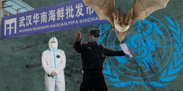 როგორ მოხდა კორონავირუსის ადამიანზე გადაცემა – რა დაადგინა ჯანმოს ექსპერტთა ჯგუფმა უხანში