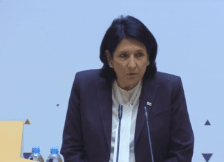 კონსტიტუციაში ასახულია კანონის წინაშე თანასწორობა, განურჩევლად სექსისა – სალომე ზურაბიშვილი