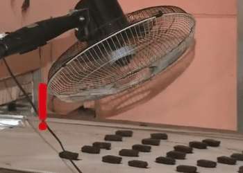 „ყველგან ერთი და იგივე სიბინძურეა“ – ნახეთ რა იპოვა მადონა კოიძემ შოკოლადის საწარმოში