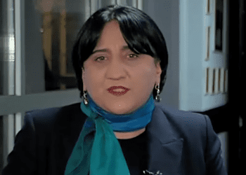 ჩემს ადგილს ყველგან ვიპოვი, პოლიტიკაშიც, ჟურნალისტიკაშიც და ბოლო-ბოლო სიმღერებს დავწერ – ირმა ინაშვილი