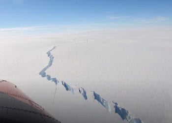 უნიკალური კადრები – ანტარქტიდაზე გიგანტური აისბერგი მოწყდა