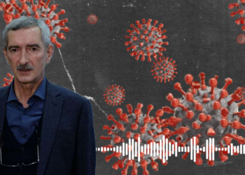 პაატა იმნაძე ვაქცინების შემადგენლობას ასახელებს