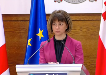 ოკუპირებულ ტერიტორიებზე მცხოვრები პირებისთვის ვაქცინაციისთვის რეგისტრაცია არ იქნება სავალდებულო – ჯანდაცვის მინისტრი