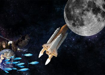 მეცნიერებს დედამიწიდან მთვარეზე 6.7 მილიონი სახეობის გენეტიკური მასალის გაგზავნა სურთ