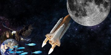 მეცნიერებს დედამიწიდან მთვარეზე 6.7 მილიონი სახეობის გენეტიკური მასალის გაგზავნა სურთ