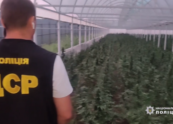130 მლნ-ი გრივნის ღირებულების „აგრობიზნესი” – უკრაინის პოლიციამ 2 700კვ.მ-ზე გაშენებული კანაფის პლანტაცია აღმოაჩინა (VIDEO)