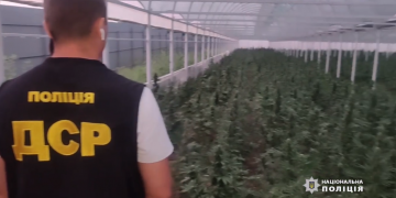 130 მლნ-ი გრივნის ღირებულების „აგრობიზნესი” – უკრაინის პოლიციამ 2 700კვ.მ-ზე გაშენებული კანაფის პლანტაცია აღმოაჩინა (VIDEO)
