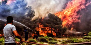 საბერძნეთში ხანძრებს ებრძვიან. დაიწვა ტყეები, სახლები, ასობით ადამიანი ევაკუირებულია