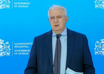 ამცრელი სივრცეებისკენ დაინიშნება სპეციალური ტრანსპორტი – გამყრელიძე