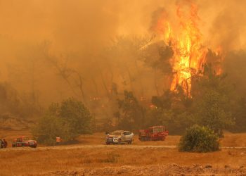 თურქეთის კურორტებზე ხანძრებს მე-6 დღეა ებრძვიან – უმძიმესი კადრები თურქეთიდან