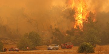 თურქეთის კურორტებზე ხანძრებს მე-6 დღეა ებრძვიან – უმძიმესი კადრები თურქეთიდან
