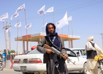 ქაბულში გავაგზავნით ცალკე ბორტს საქართველოს მოქალაქეების წამოსაყვანად – საგარეო საქმეთა სამინისტრო