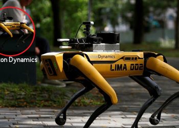 Hyundai-მ რობოტი ძაღლები იყიდა  – ნახეთ რაში გამოიყენებს მათ კომპანია