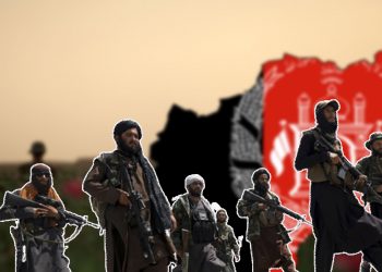 ყაყაჩო თუ სიღარიბე – საიდან აქვს ფული „თალიბანს”