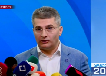 ეს კაცი უკრაინიდან არსად წასულა და იმალება სადღაც შემძვრალი – მდინარაძე სააკაშვილზე