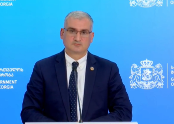 სად გვჭირდება „მწანე სტატუსის” წარდგენა – გიორგი ღიბრაძის განცხადება