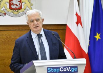 რა ჩაიწერება „მწვანე პასპორტში” – ამირან გამყრელიძემ 4 ინდიკატორი დაასახელა