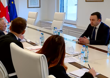 რაზე ისაუბრა ირაკლი ღარიბაშვილმა ფარმაცევტული ბიზნესის წარმომადგენლებთან შეხვედრაზე