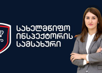 რატომღაც ჩაითვალა, რომ რამდენიმე დღის ბავშვით ხელში ვერ შევძლებდი სამსახურის დაცვას – ლონდა თოლორაია