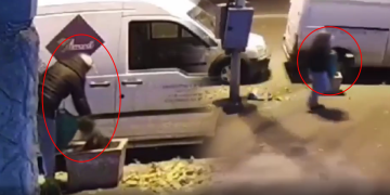 ბუჩქის ქურდობა თბილისში – ვიდეო „ფეისბუქზე“ ვრცელდება