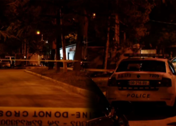 „პოლიციელის დანახვაზე ნარკოტიკი პირში ჩაიდო“ – რა მოხდა გვიან ღამით წყნეთში