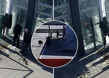 რუსების მორიგი სამხედრო დანაშაული – ოკუპანტებმა ორ უკრაინელს ზურგში ესროლეს